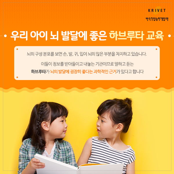 우리 아이 뇌 발달에 좋은 하브루타 교육 뇌의 구성분포를 보면 손,발, 귀, 입의 뇌의 많은 부분을 차지하고 있습니다. 이들이 정보를 받아들이고 내놓는 기관이므로 말하고 듣는 하브루타가 뇌의 발달에 굉장히 좋다는 과학적인 근거가 있다고 합니다.