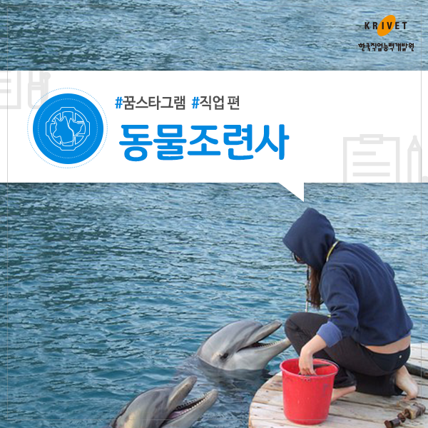 동물조련사