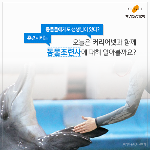 훈련시키는 동물원에게도 선생님이 있다? 오늘은 커리어넷과 함께 동물조련사에 대해 알아볼까요?