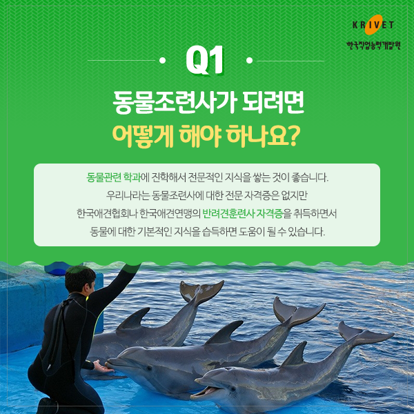 Q1 동물조련사가 되려면 어떻게 해야 하나요? > 동물관련 학과에 진학해서 전문적인 지식을 쌓는 것이 좋습니다. 우리나라는 동물조련사에 대한 전문 자격증은 없지만 한국애견협회나 한국애견연맹의 반려견훈련사 자격증을 취득하면서 동물에 대한 기본적인 지식을 습듭하면 도움이 될수 있습니다.