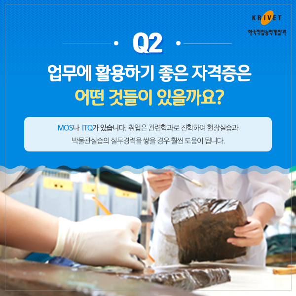 Q2 업무에 활용하기 좋은 자격증은 어떤 것들이 있을까요? MOS나 ITQ가 있습니다. 취업은 관련학과로 진학하여 현장실습과 박물관실습의 실무경력을 쌓을경우 휠씬 도움이 됩니다.