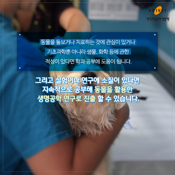 동물을 돌보거나 치료하는 것에 관심이 있거나 기초과학뿐 아니라 생명, 화확 등에 관한 적성이 있다면 학과 공부에 도움이 됩니다. 그리고 실험이나 연구에 소질이 있다면 지속적으로 공부해 동물을 활용한 생명공학 연구로 진출 할 수 있습니다.