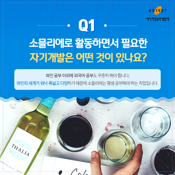 Q1 소믈리에로 활동하면서 필요한 자기개발은 어떤 것이 있나요? > 와인 공부 이외에 외국어 공부도 꾸준히 해야합니다. 와인의 세계가 워낙 폭넓고 다양하기 때문에 소믈리에는 평생 공부해야 하는 직업입니다.