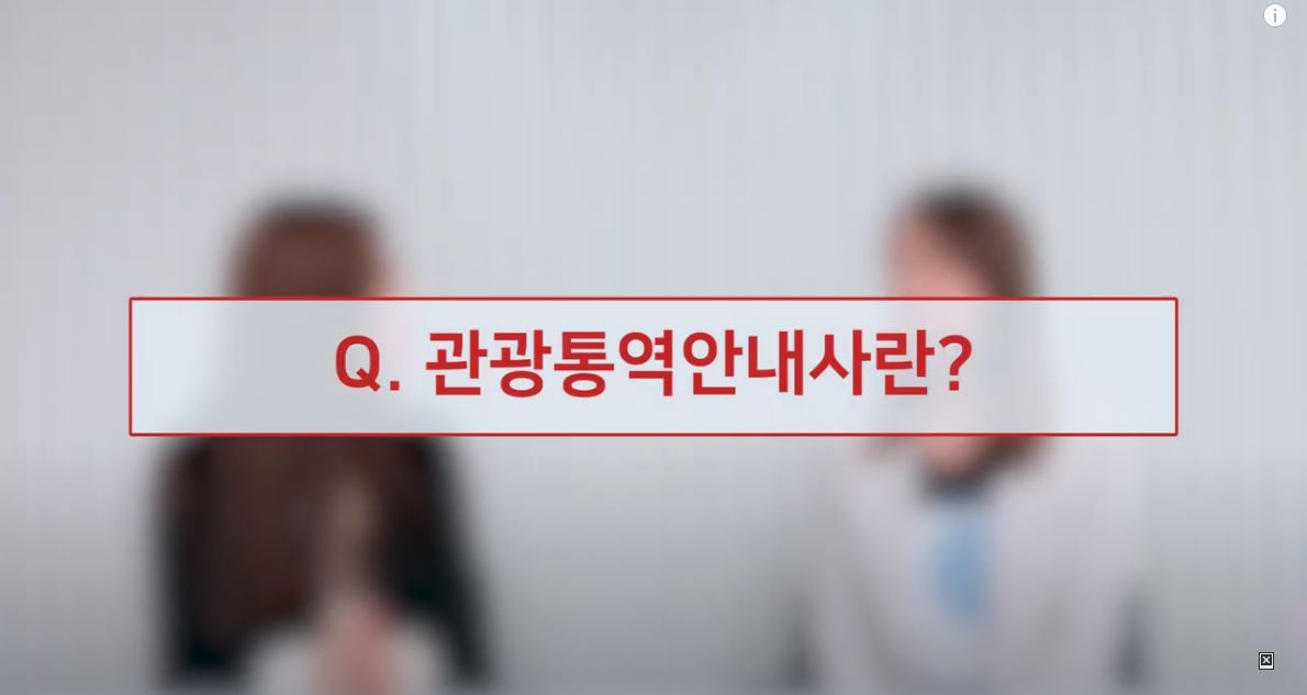 【11년차현직관광통역안내사Q&A】수입은?언어실력은?구직활동은?여러분께 모두 공개합니다 (ft.예비관통사에게 해주고싶은말)