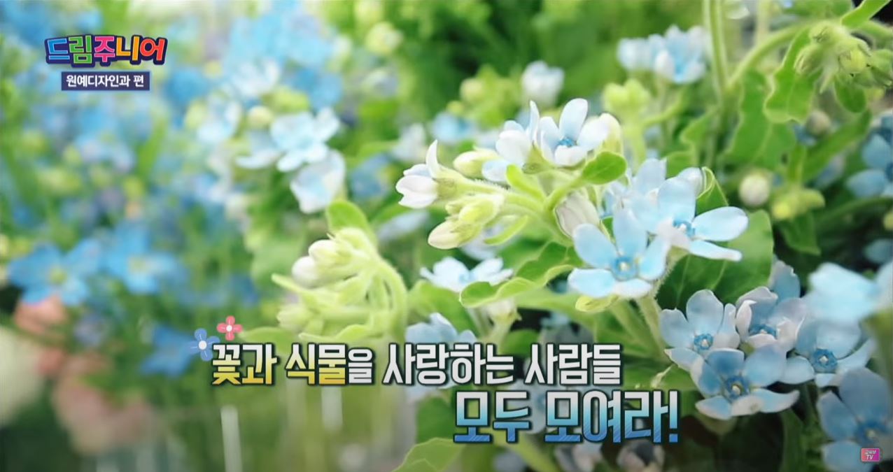 [교육부] 시즌4 진로탐사대 드림주니어 70회 - ‘원예디자인과’ 수업