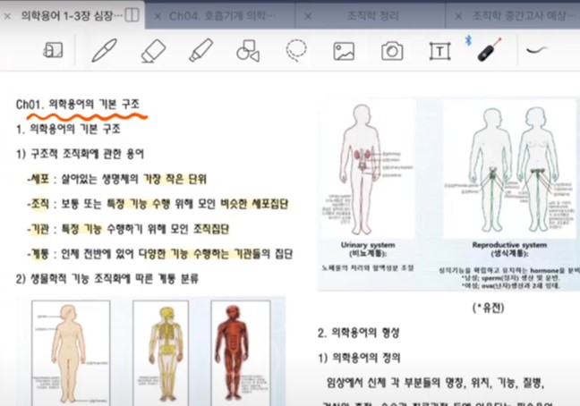 임상병리학과에서는 뭘 배울까?편편입생의 과목소개 1탄 | 의학용어, 조직학, 공중보건학, 병원미생물학